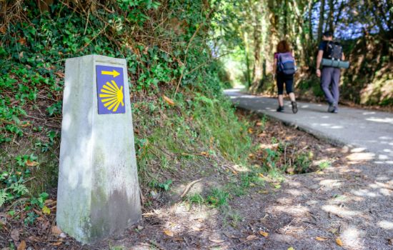 peregrinos-camino-de-santiago